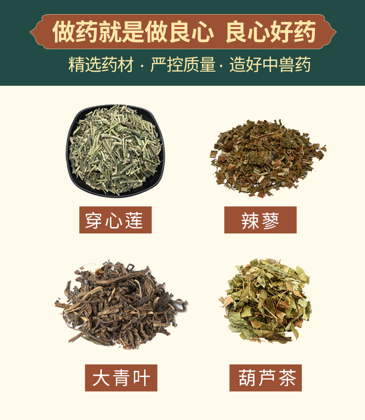 四味穿心莲散详情_06.jpg