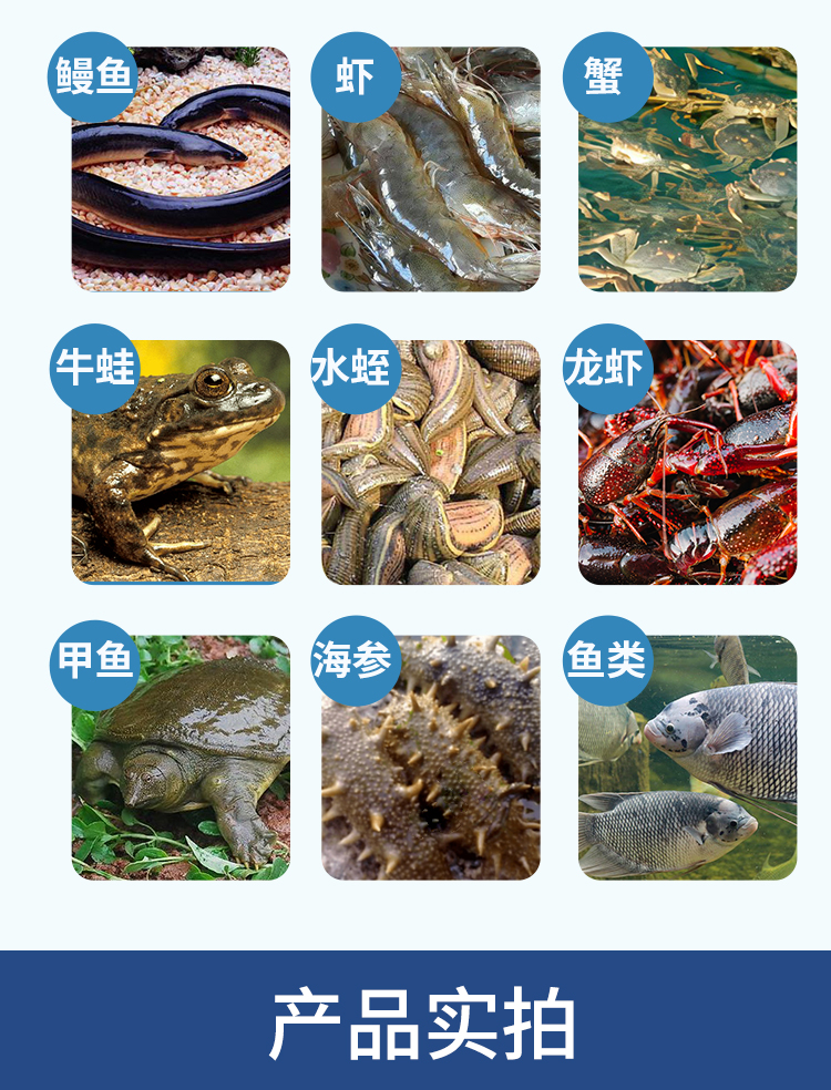 详情_08.jpg
