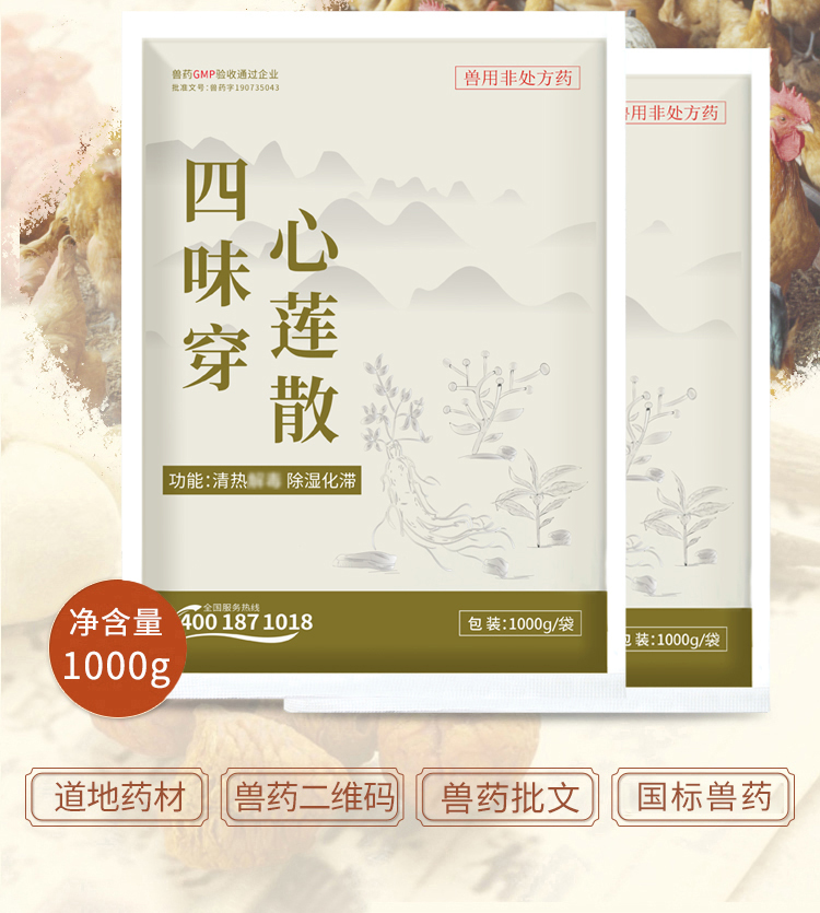 四味穿心莲散详情_02.jpg