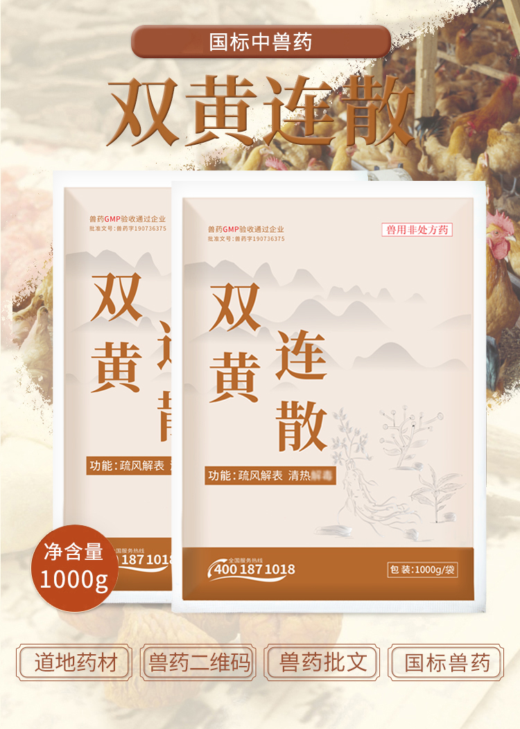 双黄连散详情_01.jpg