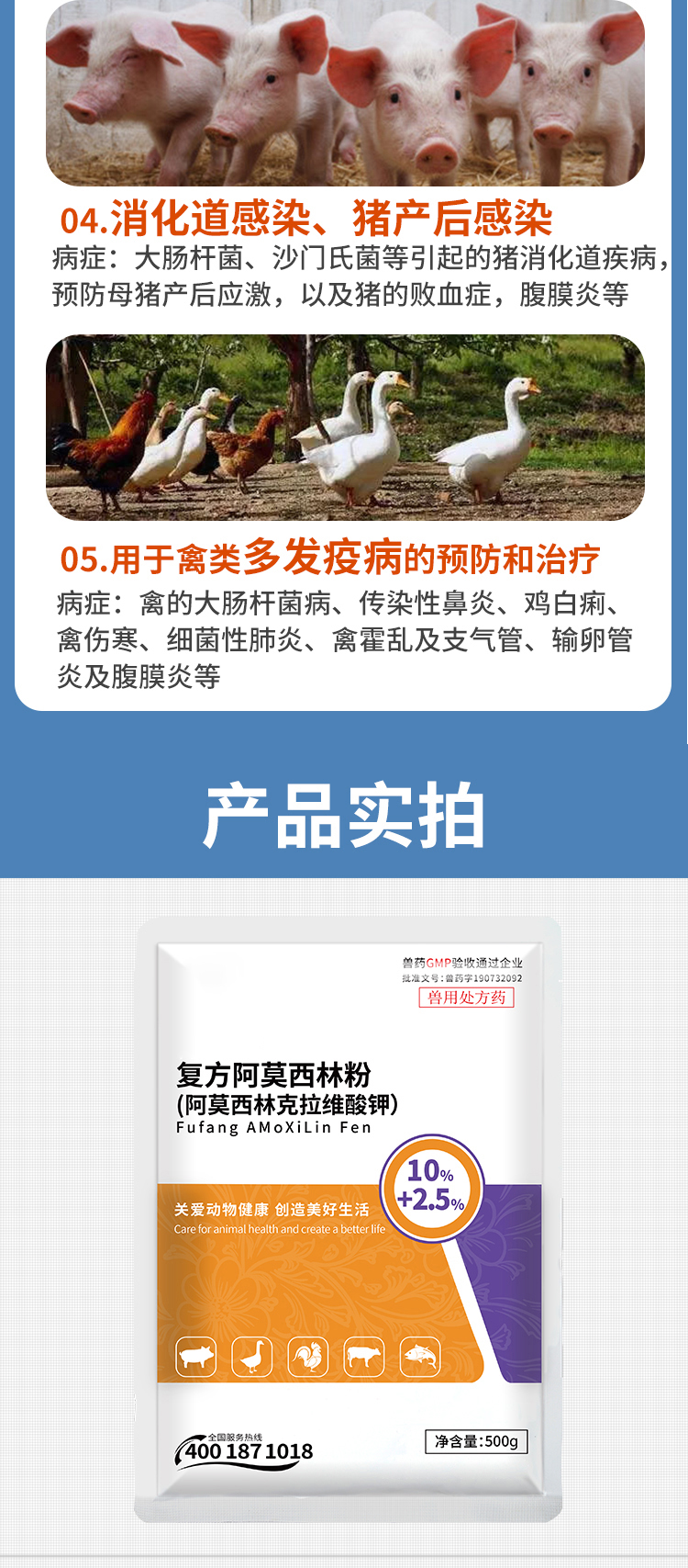 复方阿莫详情_09.jpg