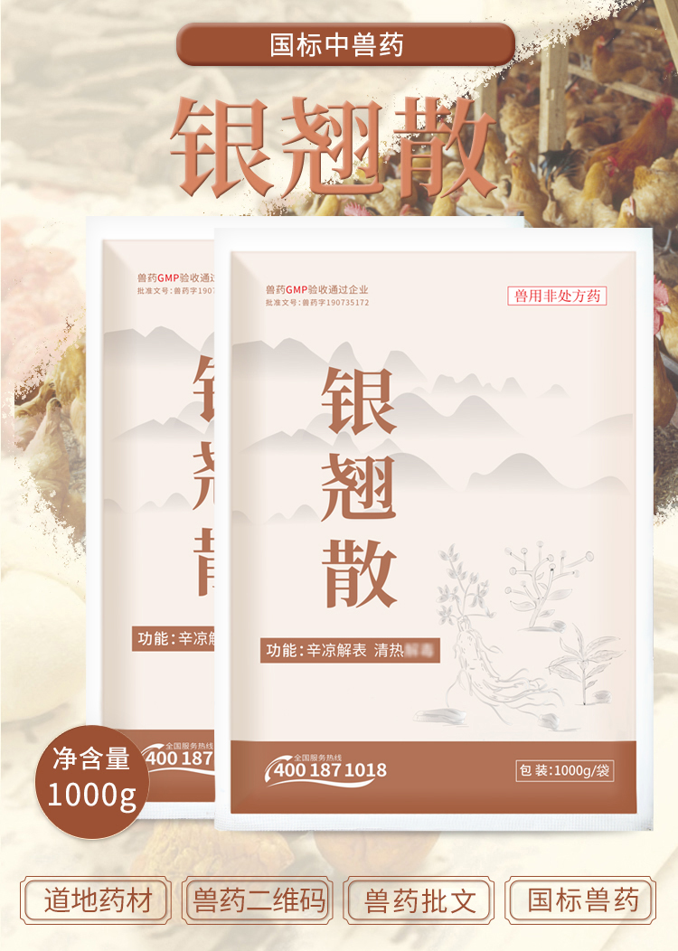 银翘散详情_01.jpg