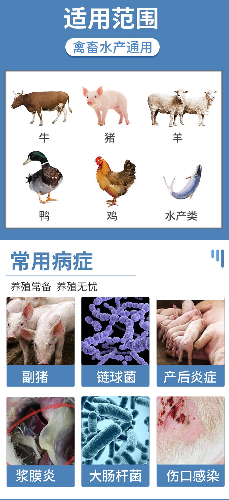 复方阿莫详情_07.jpg