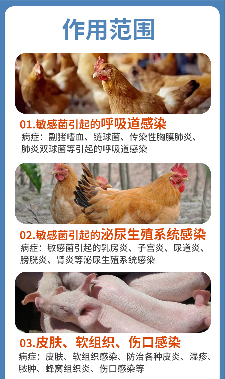 复方阿莫详情_08.jpg