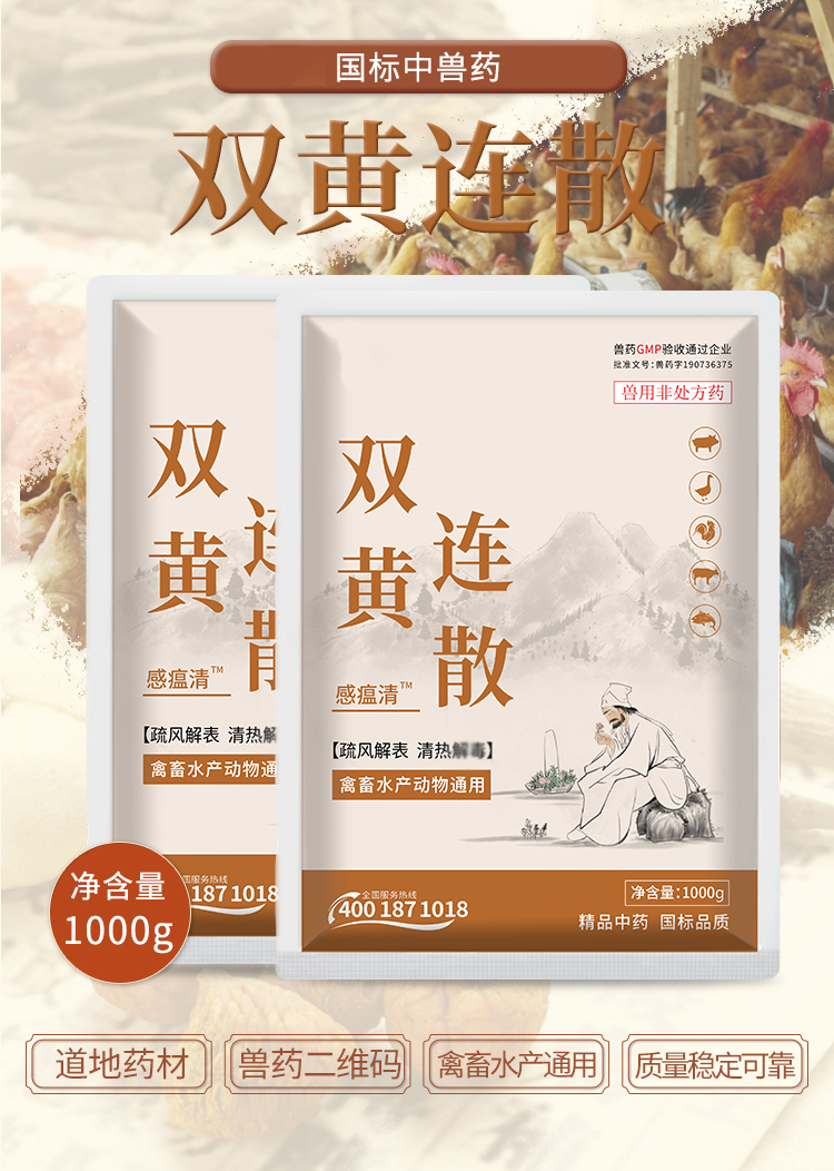双黄连散详情_01.jpg