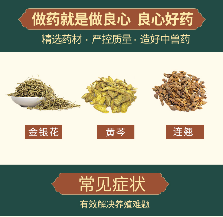 双黄连散详情_04.jpg