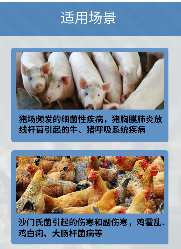 氟苯尼考20_07.jpg