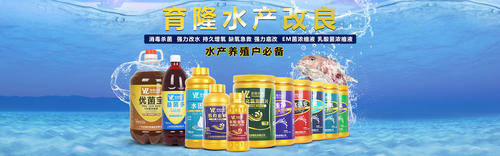 水产养殖水质改良