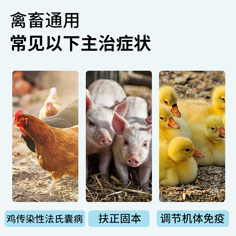 未标题-1.jpg