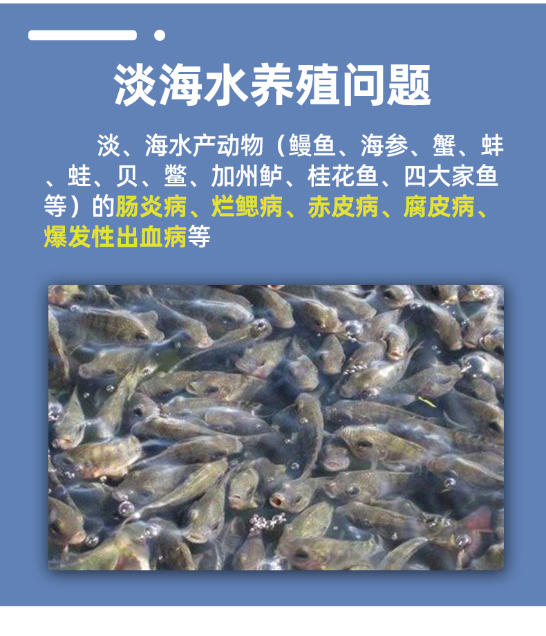 未标题-3_09.jpg