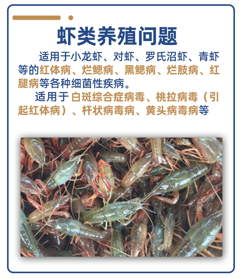 未标题-3_10.jpg